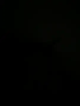 FirstTimeEvr online show from July 7, 2026, 7:34 am