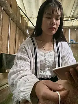 PhanHaa online show from January 14, 2026, 12:47 am