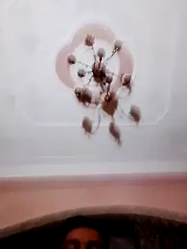 Ellyakine1 online show from October 29, 2025, 2:38 pm