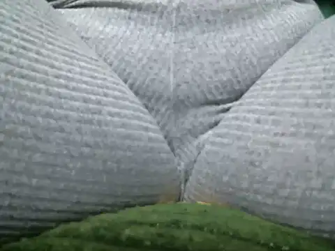 Snapshot of Darkplay_extreme chatting on December 17, 2025, 11:32 pm Darkplay extreme online show from December 17, 2025, 11:32 pm