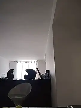 Juann-cock online show from March 11, 2026, 2:22 pm