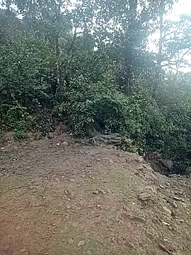 quynhkoolbae online show from February 21, 2026, 12:45 am