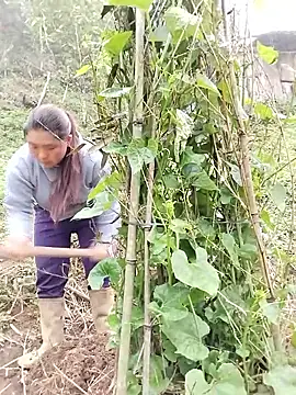 quynhkoolbae online show from March 21, 2026, 9:14 am