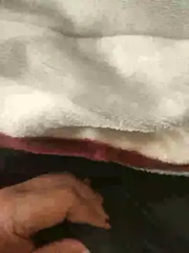 mM0140 online show from January 13, 2026, 8:29 am