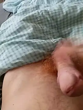 Snapshot of bodrika chatting on February 17, 2026, 2:58 pm bodrika online show from February 17, 2026, 2:58 pm