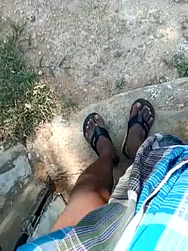 dolphiinn online show from April 12, 2026, 10:40 am