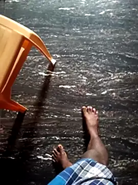 dolphiinn online show from December 1, 2025, 1:06 am