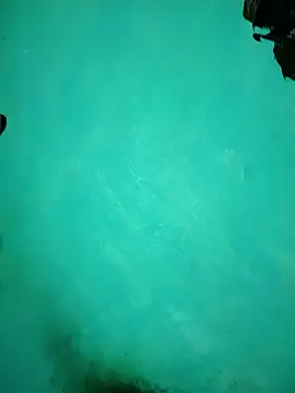 Snapshot of Arti13A chatting on January 17, 2026, 3:15 pm Arti13A online show from January 17, 2026, 3:15 pm