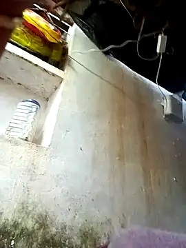 cute diya 12 online show from February 11, 2026, 3:06 am