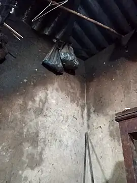  Helala  online show from February 1, 2026, 2:54 am