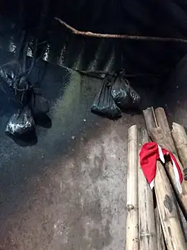  Helala  online show from February 26, 2026, 8:36 am