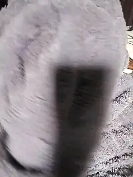 Snapshot of venu00 chatting on February 14, 2026, 3:29 am venu00 online show from February 14, 2026, 3:29 am