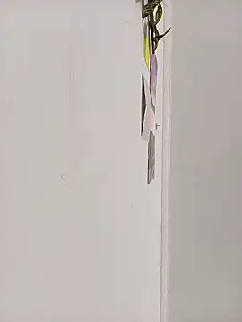 dulcelatin21 online show from October 17, 2025, 2:41 pm