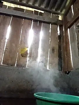 Snapshot of Ngocmi909 chatting on November 16, 2025, 12:15 am Ngocmi909 online show from November 16, 2025, 12:15 am