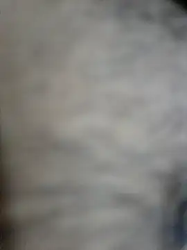 SHIFT1234 online show from October 2, 2025, 4:32 pm