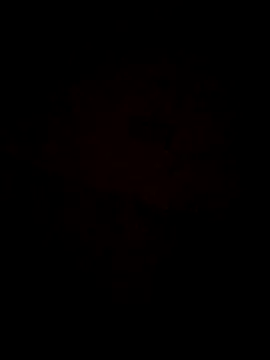 Snapshot of Jann_Riya333 chatting on February 1, 2026, 1:26 am Jann Riya333 online show from February 1, 2026, 1:26 am