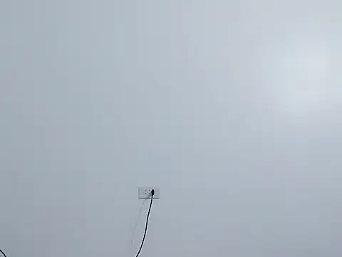 Siglemom sexy online show from April 1, 2026, 7:55 pm