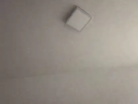 alegriadodia online show from October 8, 2025, 7:47 pm