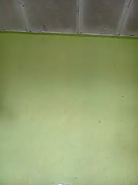 phumlanisanka online show from November 15, 2025, 7:56 am