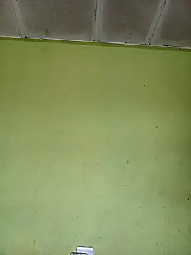 phumlanisanka online show from November 1, 2025, 7:35 am