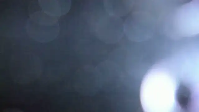 Snapshot of Luna_Analya chatting on February 5, 2026, 1:40 pm Luna Analya online show from February 5, 2026, 1:40 pm