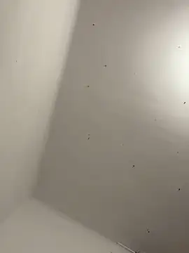 Snapshot of davidxxx099 chatting on November 22, 2025, 10:30 pm davidxxx099 online show from November 22, 2025, 10:30 pm