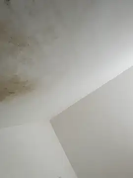 thunderrony online show from October 6, 2025, 3:13 pm