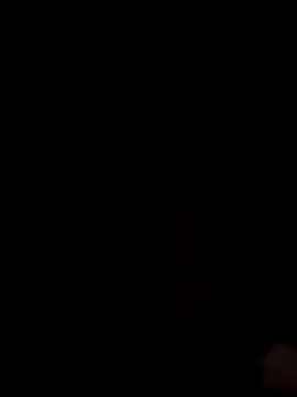 Danypeluche online show from December 15, 2025, 8:42 am