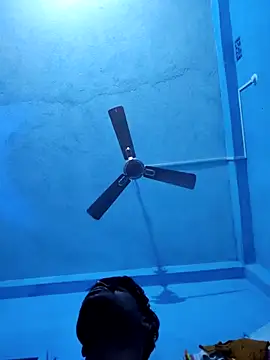 BlackCobraOwner online show from November 17, 2025, 4:11 pm