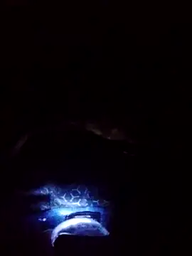 Snapshot of gostoso_delas_2 chatting on September 17, 2025, 4:20 pm gostoso delas 2 online show from September 17, 2025, 4:20 pm