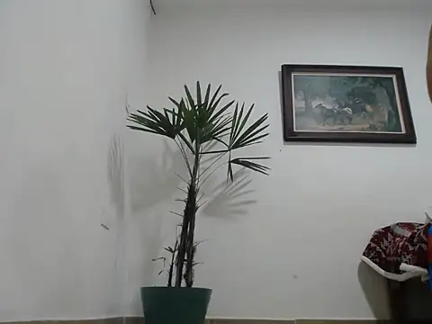 Young handsome online show from September 11, 2025, 1:27 am