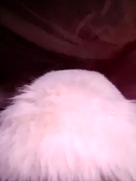 Snapshot of VanGau031694 chatting on November 13, 2025, 11:52 pm VanGau031694 online show from November 13, 2025, 11:52 pm