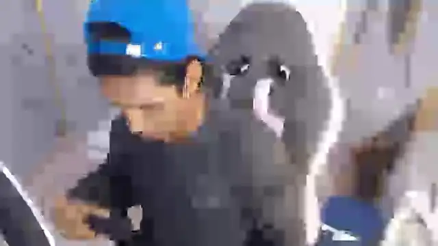 Snapshot of bull_cam chatting on November 27, 2025, 1:22 pm bull cam online show from November 27, 2025, 1:22 pm