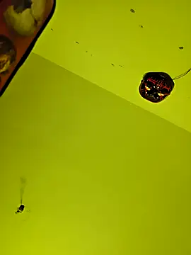 Snapshot of Su-Dar69 chatting on November 2, 2025, 3:44 am Su-Dar69 online show from November 2, 2025, 3:44 am