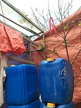 liu-liusexy online show from February 19, 2026, 8:22 am