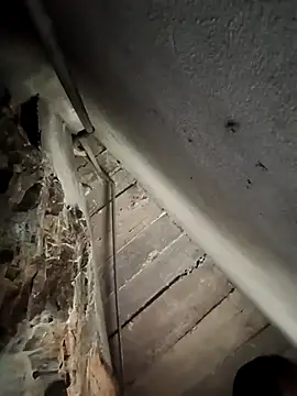 AnHa19 online show from November 6, 2025, 7:45 am