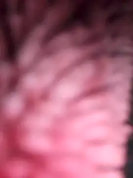 Snapshot of simi-lucy chatting on November 28, 2025, 1:11 pm simi-lucy online show from November 28, 2025, 1:11 pm