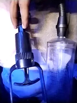 HIIMSINGLEBOY online show from October 9, 2025, 6:03 am