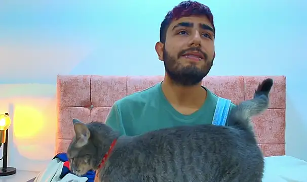 Ares Alpha online show from October 5, 2025, 7:15 pm