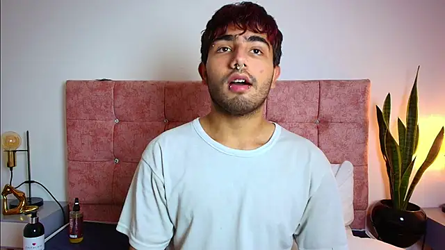 Ares Alpha online show from November 29, 2025, 6:30 pm