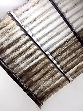 anitotori online show from October 30, 2025, 2:36 pm