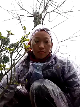 tcm-cute online show from November 3, 2025, 8:07 am