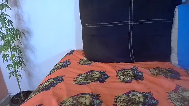 Analvamp online show from October 21, 2025, 4:23 am