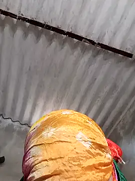 Payal950 online show from November 4, 2025, 8:29 am