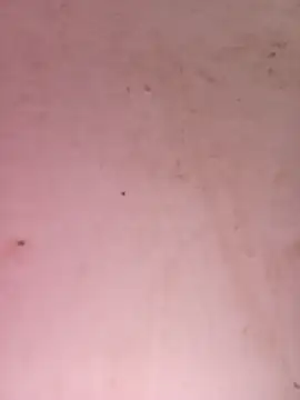 Payal950 online show from September 25, 2025, 6:19 am