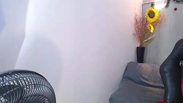 honeymoon 12 online show from January 17, 2026, 7:23 am