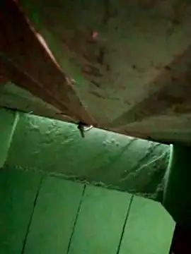 Anjal-123 online show from October 27, 2025, 11:00 am