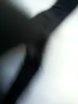 TaraWild online show from February 1, 2026, 11:08 am