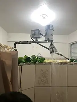 YadielPublic online show from February 27, 2026, 12:55 am