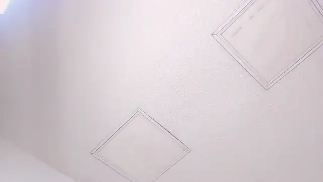 Tyler durten online show from February 3, 2026, 3:15 am